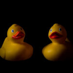 2 plastic ducks