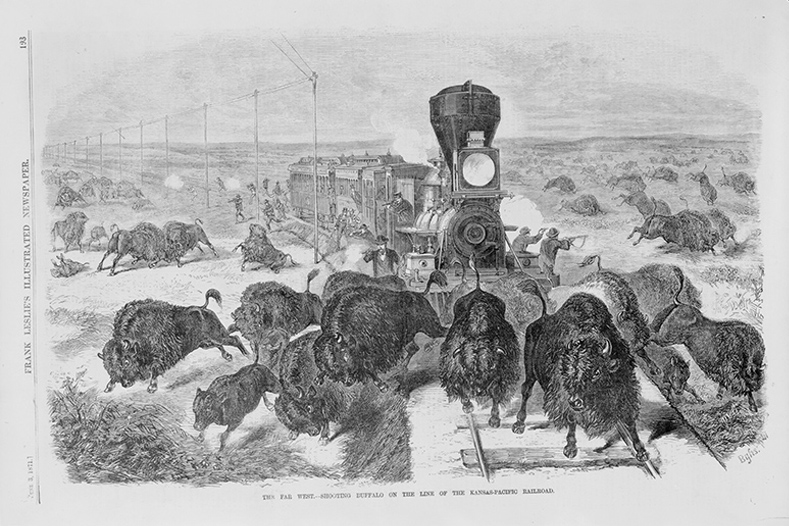 Drawing of steam train and buffalo being shot